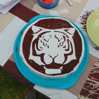 Le Fort Boyanniversaire entre copains d'Arthur