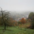 Sundgau, automne et longue distance...