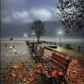 Sous le soleil....d'automne.....on s'offre un jour de promenade....