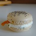 macarons truite fromage frais