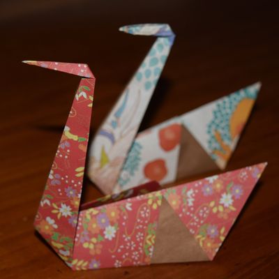 Cigne en origami