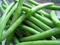 Haricots verts 