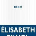 Bois II d'Elisabeth Filhol