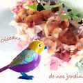 Les oiseaux de nos jardins