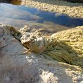 Marcher sur l’eau