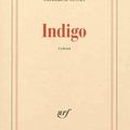 Indigo- Catherine Cusset