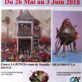 33 ème salon artistique de Beaumont La Ronce