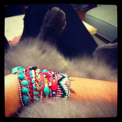 "Si le ♥ vous en dit" - P I N K