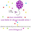 WWW.littleyou.fr vous souhaite une délicieuse année 2011 !