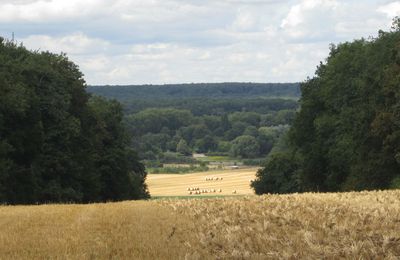 Promenade dans les bois