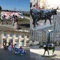 A Bordeaux, les vaches se promènet partout! 2