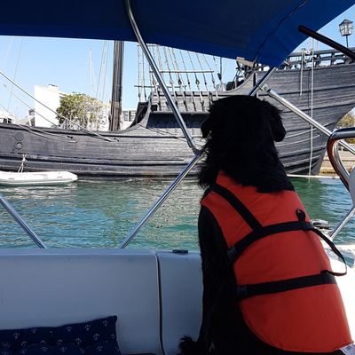 Comme un petit air de vacances !!