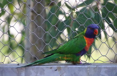 Zoo Arcachon