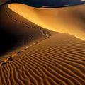 La Déroute du Namib (la déroute du nom)