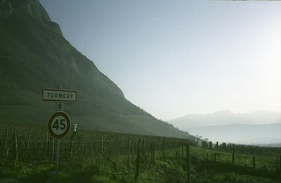 Domaine André et Michel Quénard - Tormery Savoie