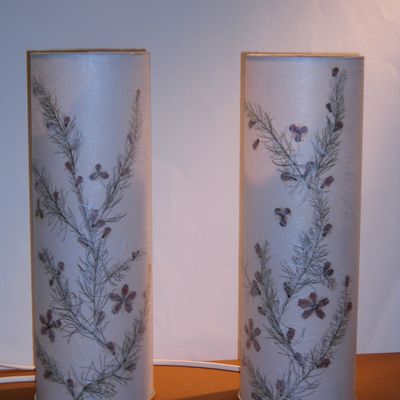 Dernières nouveautés