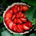 Mousse à la faisselle de chèvre et fraises en tartelettes, mousseline de fraises à la menthe