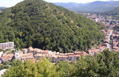 Punt de vist de Cristian Lagarda sul libre d’Eric Fraj : Quin occitan per deman ?