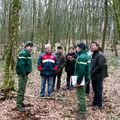 TROIS PARCELLES, TROIS PRATIQUES SYLVICOLES POUR VALORISER LES MASSIFS.