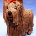 Yorkshire Terrier - Alan Dart