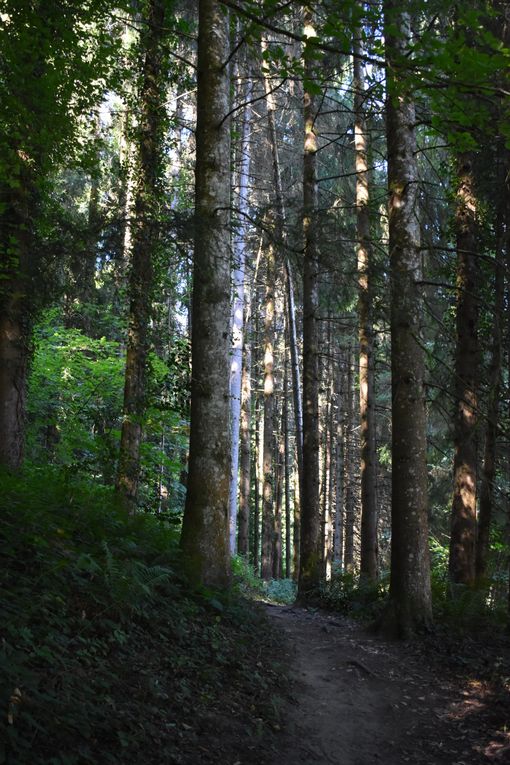 Combe du Grenand - Cascades (73)