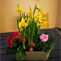 Mes fleurs du dimanche