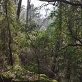 Cascade de Baumicou à Vernon--003