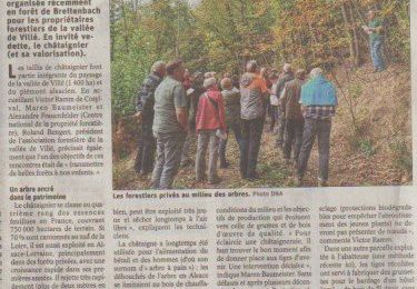 En forêt à Breitenbach