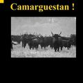 "Camarguestan !" et "Alpes noires" de Philippe Paternolli chez les éditions Du Caiman