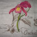 SAL Etudes Botaniques : orchidée objectif 16