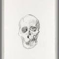 Michael Joo, Untitled skull drawing (1), 2006