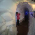 visite de l'igloo