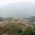 Rizieres en terrasses de Longji