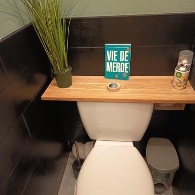 Aménagement de mes toilettes, la suite : remplacement du dessus du réservoir par une planche !