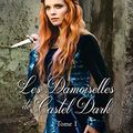 Les Demoiselles de Castel Dark (Le Destin des Cœurs Perdus #1) – JC. Staignier
