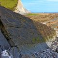 Flysch