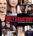 Grey's anatomy - Saison 1