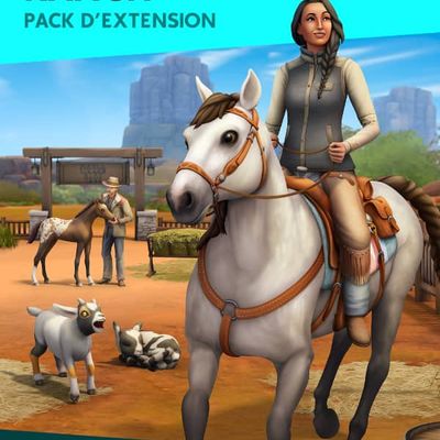 Codes de triche: Vie au ranch