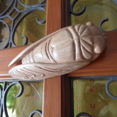 Cette été, une cigale