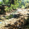 contre-exemples: rivieres non entretenues, Gokarna, Karnataka, India (février 2016)