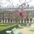 Paris.... les jardins de son Royal Palais