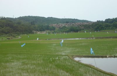 Le train de Taitung à Taipei et Beitou