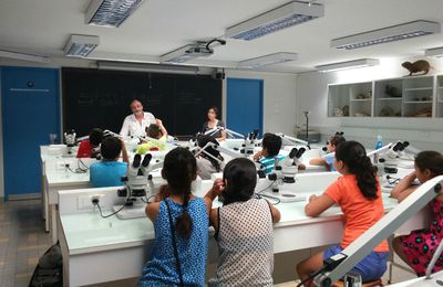 Vendredi 5 juin : visite de l'université de sciences