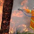 Incendies en Australie