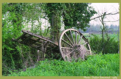 Promenades photographiques en Berry.