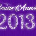 2013, une nouvelle année en Guyane !!!!