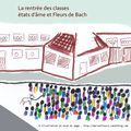 Rentrée scolaire : émotions enfants/parents (2/2) / Conseils pour la Petite Section / Fleurs de Bach variées + Violette des bois