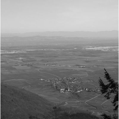 Vue du Haut-Koenigsbourg