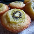 Muffins au kiwi