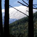 Le Canigou